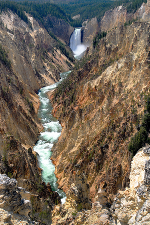 grand canyon of yellowstone : from artist's point