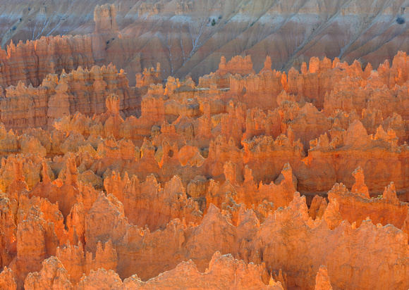 Bryce Canyon National Park, Utah