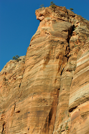 Rock Climbers : Zion National Park, Utah
